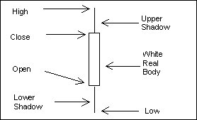 wpe3.jpg (9133 bytes)
