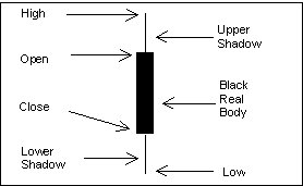 wpe4.jpg (9764 bytes)